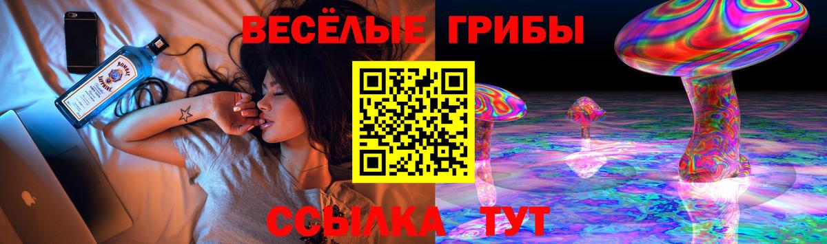 Галлюциногенные грибы прущие грибы Шебекино